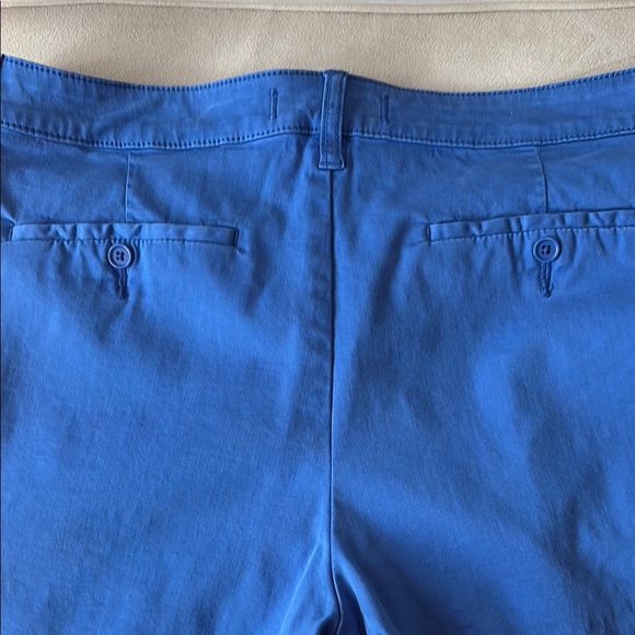Lilla Ryan Blue Shorts - Picture 3 of 3